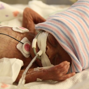 “A Person’s a Person, No Matter How&nbsp;Small”