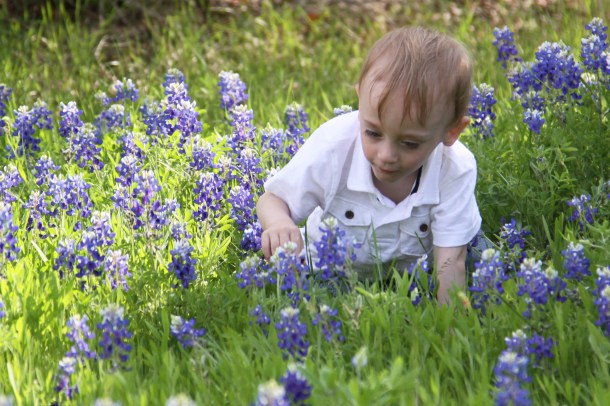 Looking at Bluebonnets
