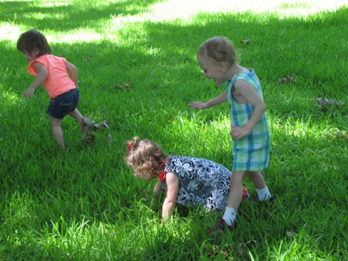 Games of chase at the park.