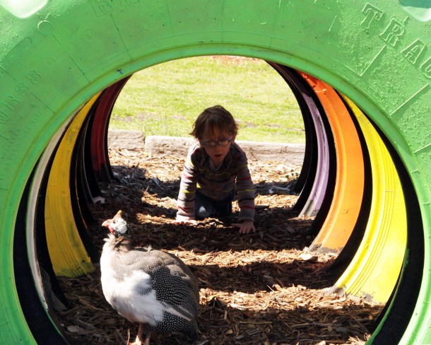 crawl tube, The Gentle Zoo
